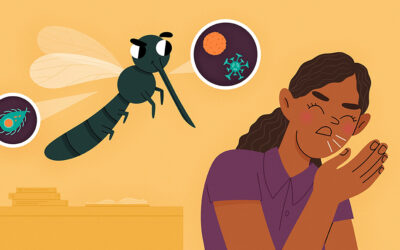 The Statistical Likelihood of Contracting Malaria or Dengue Fever in Southeast Asia.