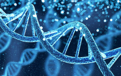 The Future of DNA Testing for Customized Health Plans in Thailand.