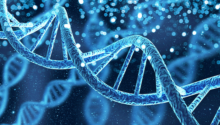 The Future of DNA Testing for Customized Health Plans in Thailand.