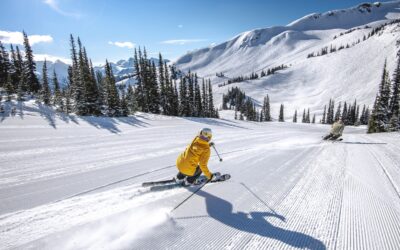 Beyond the Degree: Why a Canadian Education is Your Child’s Gateway to a Brighter Future